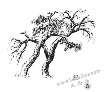 雪树画法步骤三