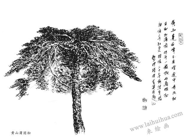 山水国画树木写生的分类和要点