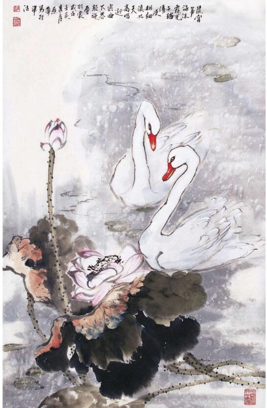 白天鹅的步骤画法
