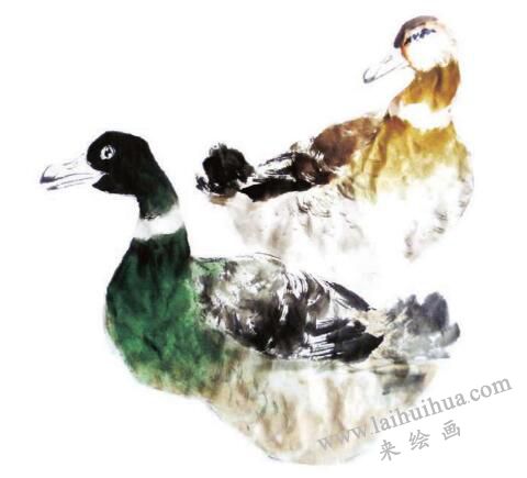鸭子的步骤画法四