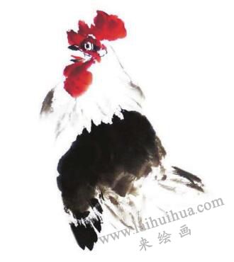 公鸡的步骤画法三