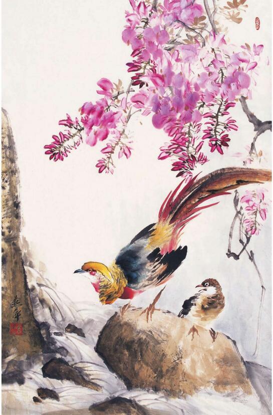 锦鸡的步骤画法