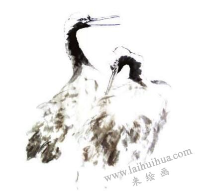 仙鹤的步骤画法三