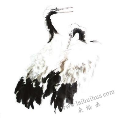 仙鹤的步骤画法四