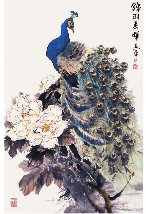 孔雀的步骤画法