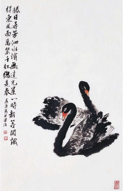 黑天鹅的步骤画法