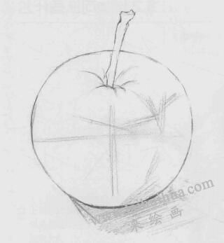 苹果素描画法步骤02