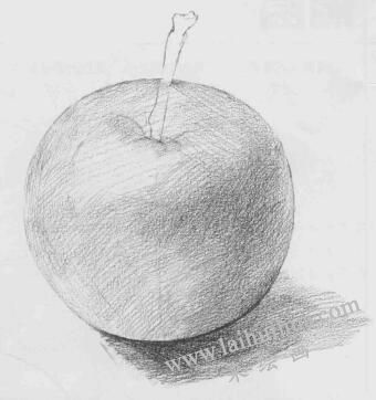 苹果素描画法步骤03