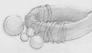 手环素描画法步骤07