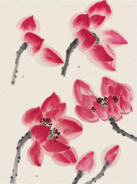 荷花花头画法