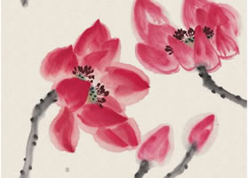 荷花花头画法