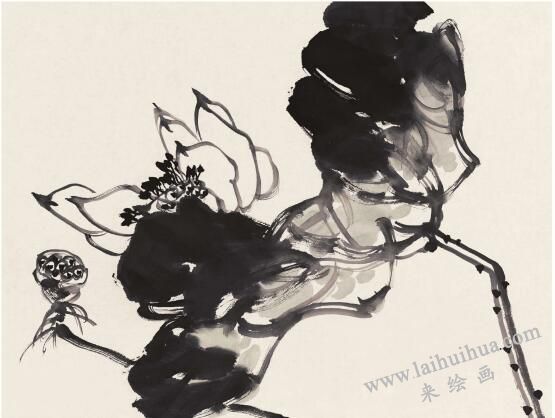 大荷叶画法02