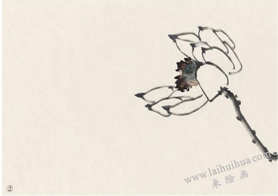 完整荷花画作品画法步骤二