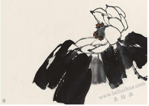 完整荷花画作品画法步骤三