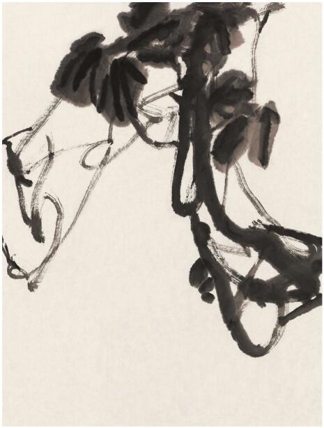 葫芦叶子和藤蔓组合画法