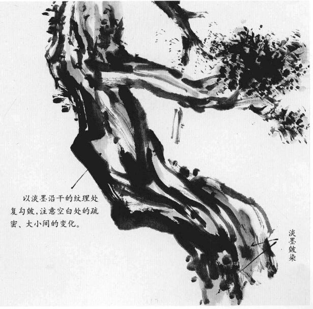山水国画松树干的画法