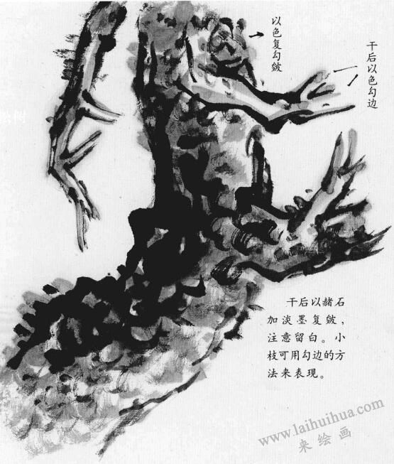 松树皮的画法