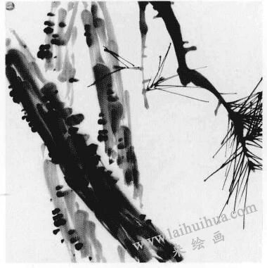 松树画法步骤02