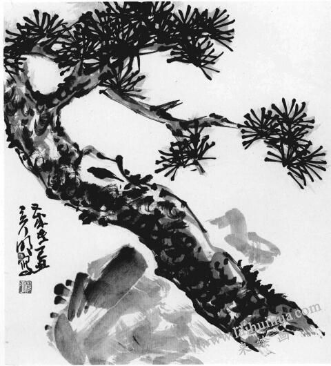 松树画法步骤04