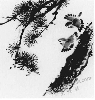 松树画法步骤03