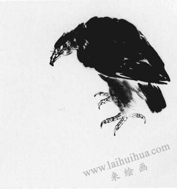 松树画法步骤01