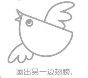 麻雀的简笔画画法步骤04