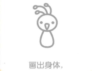 孔雀的身体