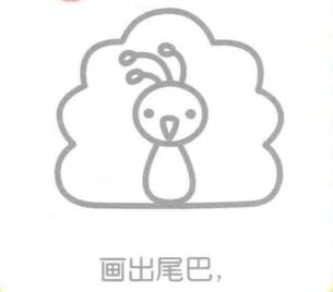 孔雀的尾巴，简笔画