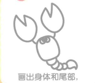 蝎子的身体和尾部