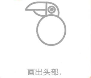 老鹰的头部，老鹰的简笔画画法步骤02