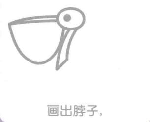 鹈鹕的脖子，简笔画