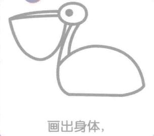 鹈鹕的身体，简笔画