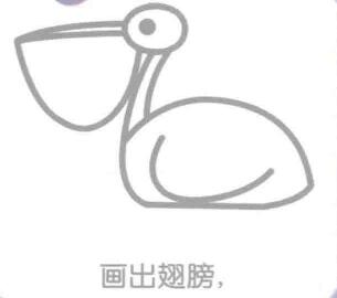 鹈鹕的翅膀，简笔画