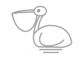 鹈鹕简笔画
