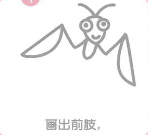 螳螂的前肢，简笔画