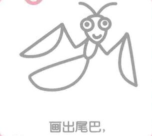 螳螂的尾巴，简笔画