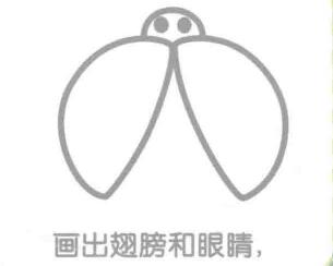 瓢虫的翅膀和眼睛，简笔画