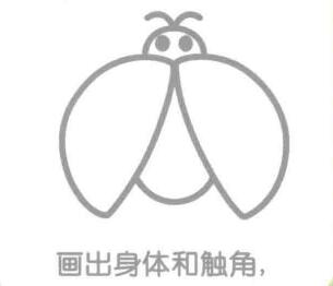 瓢虫的身体和触角，简笔画