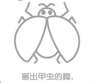 瓢虫的脚，简笔画