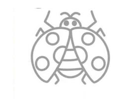 瓢虫的简笔画