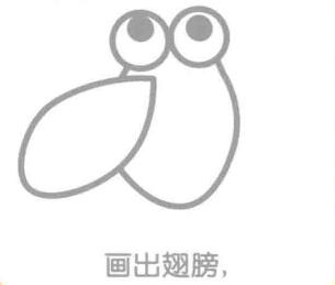 蝉的翅膀，简笔画