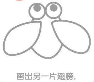 蝉的简笔画画法步骤04