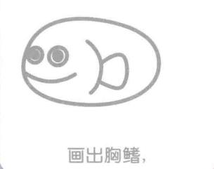 石斑鱼的胸鳍，简笔画
