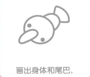 海鸥的身体和尾巴，简笔画