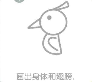 啄木鸟的身体和翅膀，简笔画