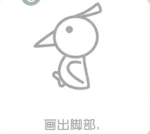 啄木鸟的简笔画画法步骤05
