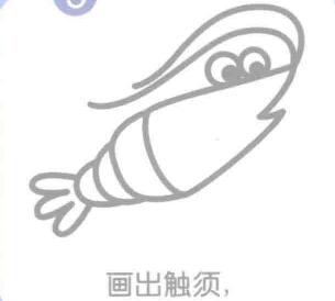 虾的触须，简笔画