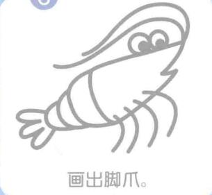 虾的简笔画