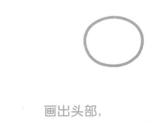 松鼠的头部，简笔画