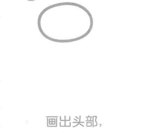 鹦鹉的头部，简笔画